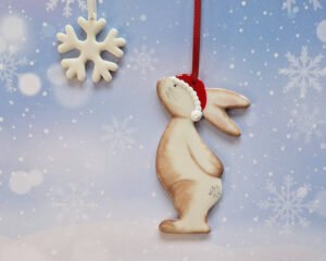 Star Gazey Bunny - Brown with Santa Hat & Flake
