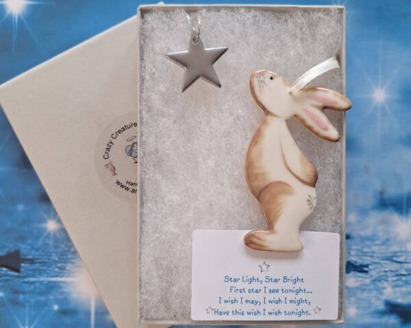 Star Gazey Bunny - Brown - Image 2