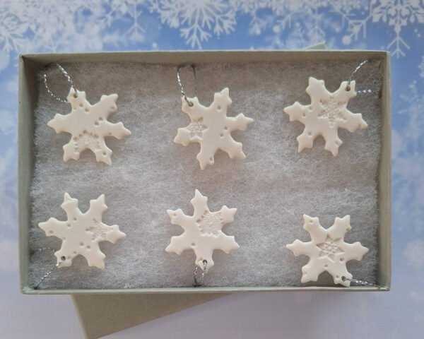 Set of 6 Titchy Snowflakes Embossed Flakes