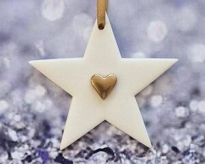 Small Star Gold Heart